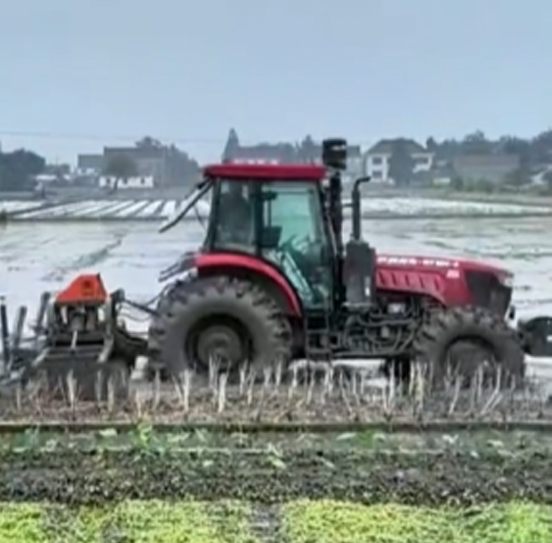 您負(fù)責(zé)統(tǒng)籌全局，它負(fù)責(zé)腳踏實地